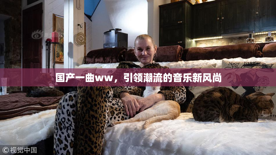 国产一曲ww，引领潮流的音乐新风尚