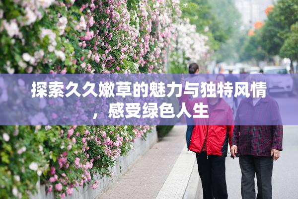 探索久久嫩草的魅力与独特风情，感受绿色人生