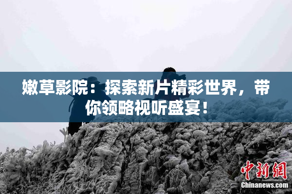嫩草影院：探索新片精彩世界，带你领略视听盛宴！