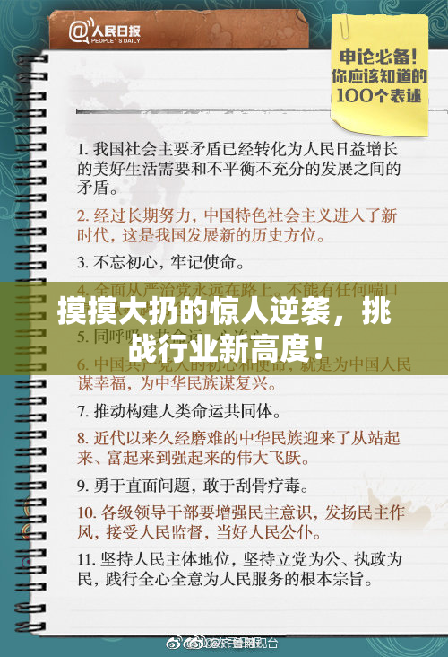 摸摸大扔的惊人逆袭，挑战行业新高度！