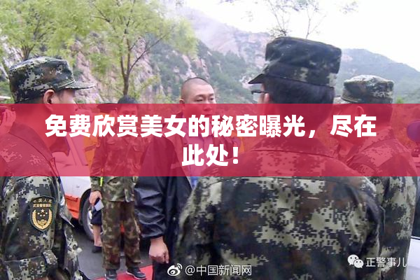 免费欣赏美女的秘密曝光，尽在此处！