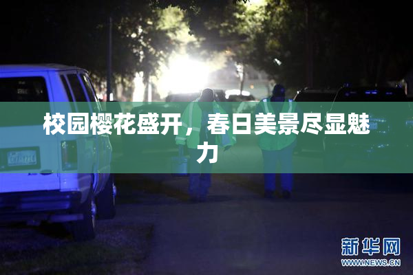 校园樱花盛开，春日美景尽显魅力