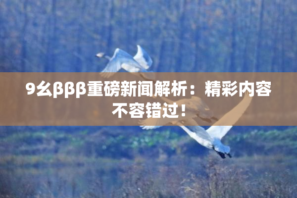 9幺βββ重磅新闻解析：精彩内容不容错过！
