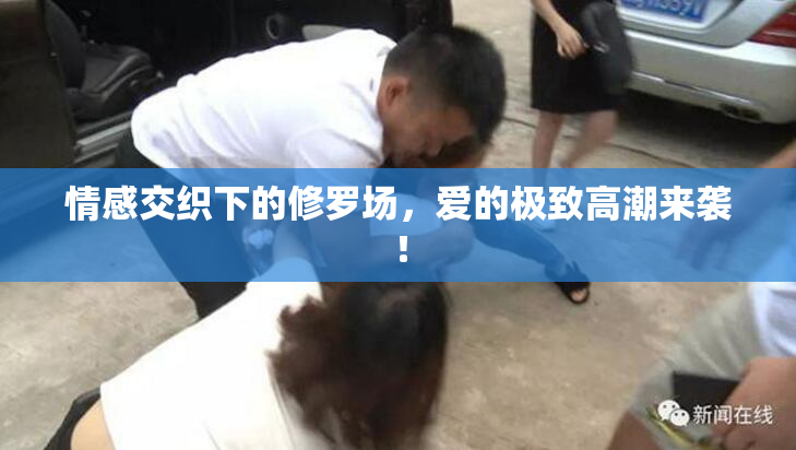 情感交织下的修罗场，爱的极致高潮来袭！