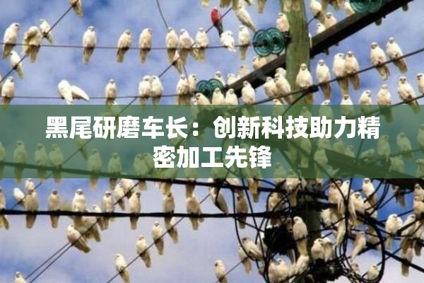 黑尾研磨车长：创新科技助力精密加工先锋