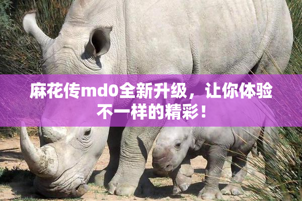 麻花传md0全新升级，让你体验不一样的精彩！