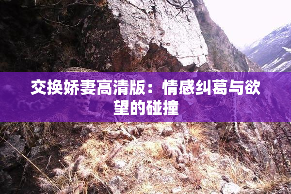 交换娇妻高清版：情感纠葛与欲望的碰撞
