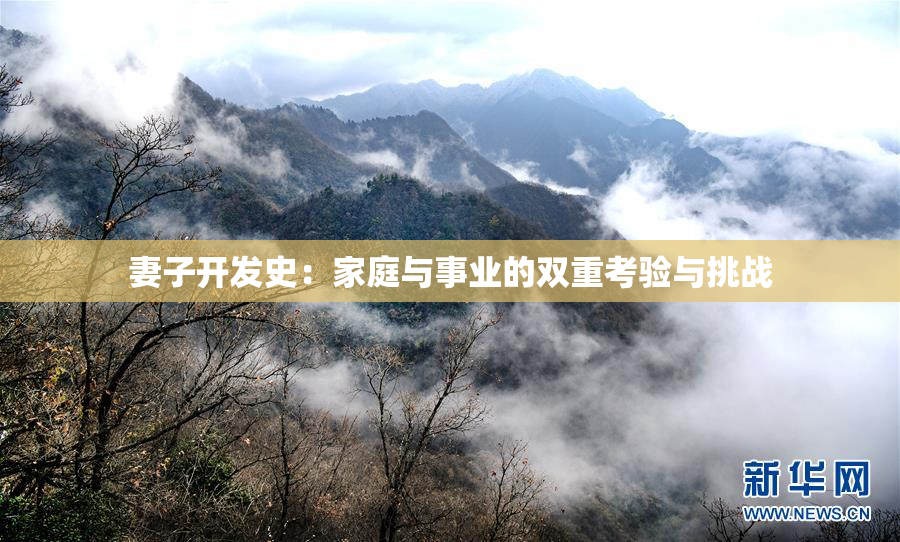 妻子开发史：家庭与事业的双重考验与挑战