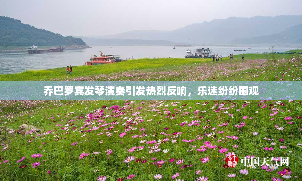 乔巴罗宾发琴演奏引发热烈反响，乐迷纷纷围观