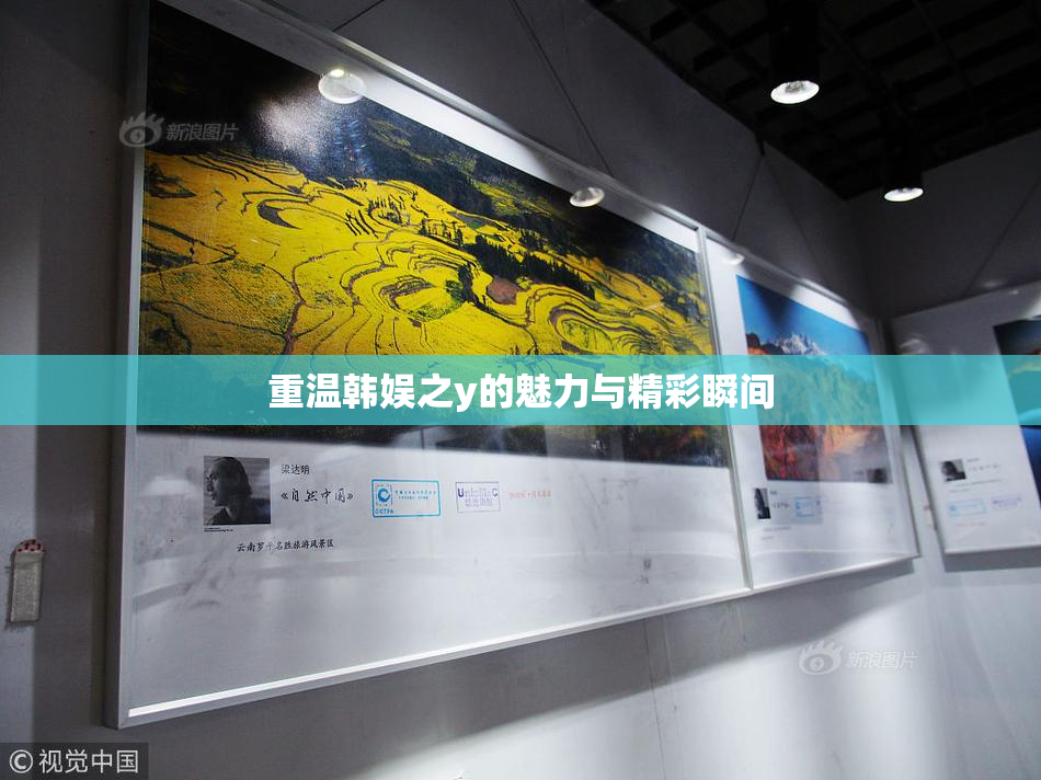 重温韩娱之y的魅力与精彩瞬间