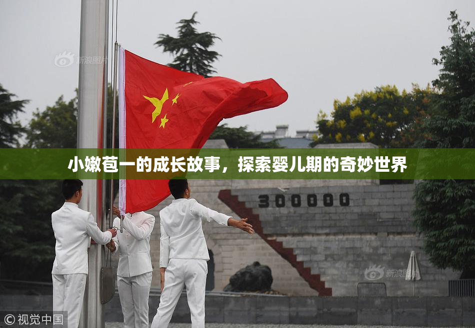 小嫩苞一的成长故事，探索婴儿期的奇妙世界