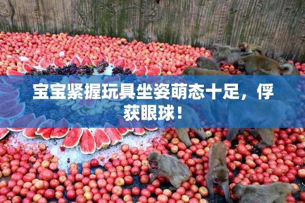 宝宝紧握玩具坐姿萌态十足，俘获眼球！
