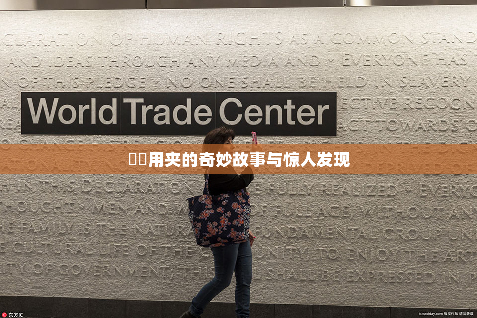 妺妺用夹的奇妙故事与惊人发现