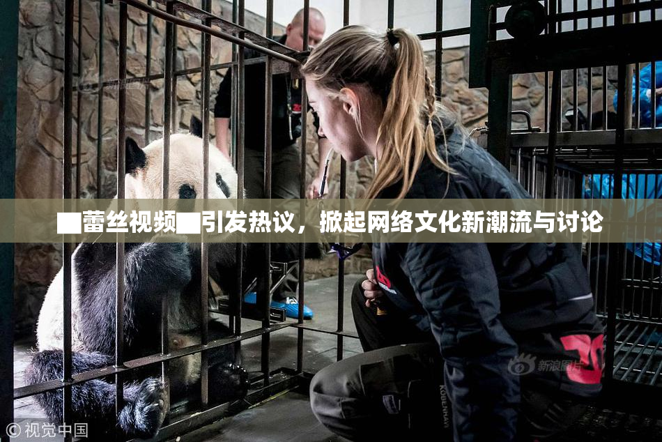 ▇蕾丝视频▇引发热议，掀起网络文化新潮流与讨论
