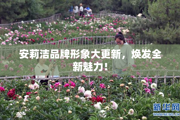 安莉洁品牌形象大更新，焕发全新魅力！
