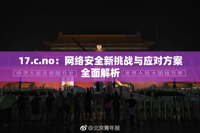 17.c.no：网络安全新挑战与应对方案全面解析