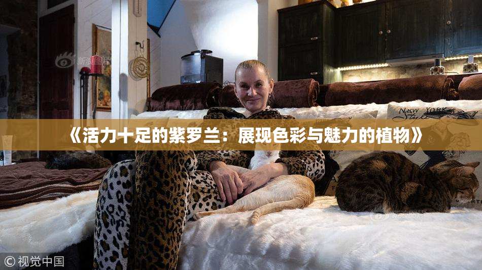 《活力十足的紫罗兰：展现色彩与魅力的植物》