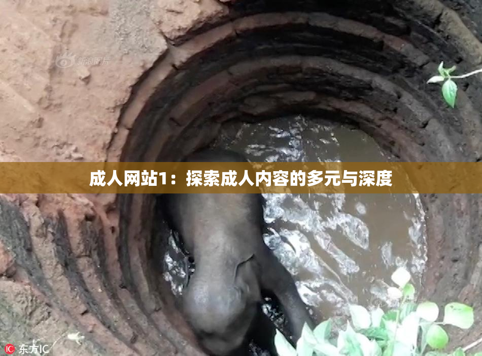 成人网站1：探索成人内容的多元与深度