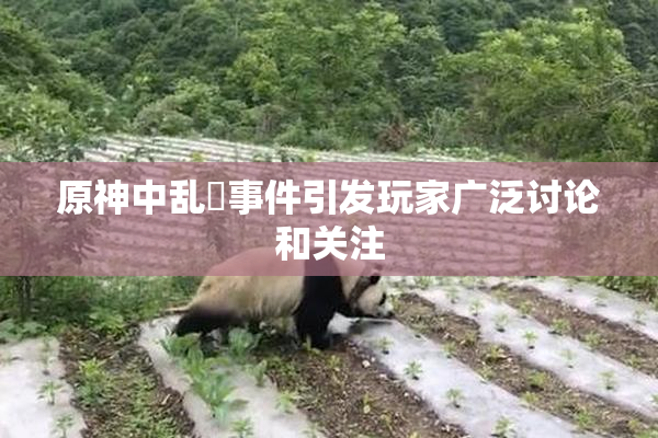 原神中乱婬事件引发玩家广泛讨论和关注
