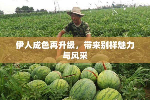伊人成色再升级，带来别样魅力与风采