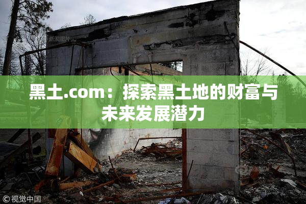 黑土.com：探索黑土地的财富与未来发展潜力