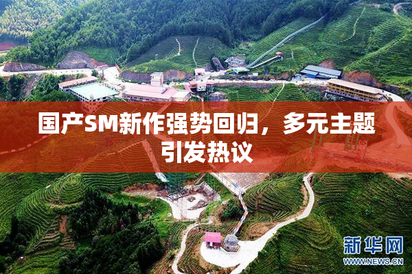 国产SM新作强势回归，多元主题引发热议