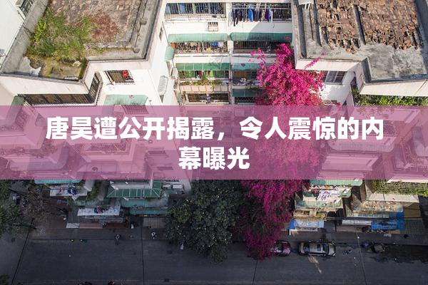 唐昊遭公开揭露，令人震惊的内幕曝光