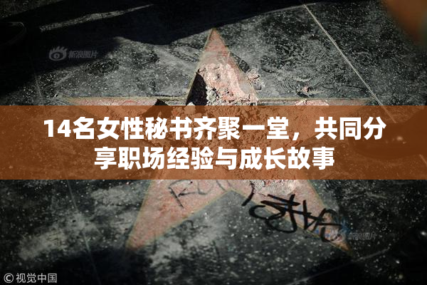 14名女性秘书齐聚一堂，共同分享职场经验与成长故事
