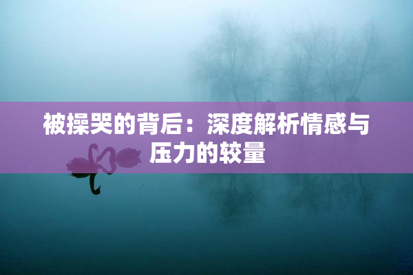 被操哭的背后：深度解析情感与压力的较量