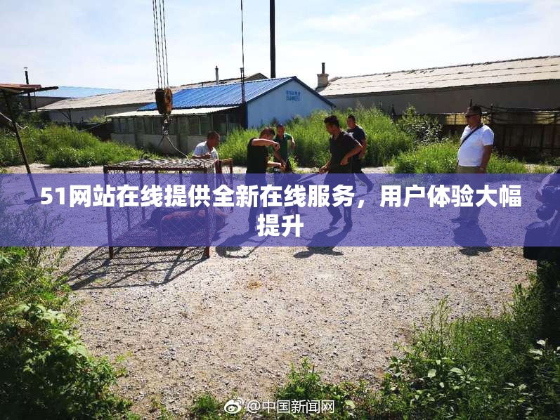 51网站在线提供全新在线服务，用户体验大幅提升