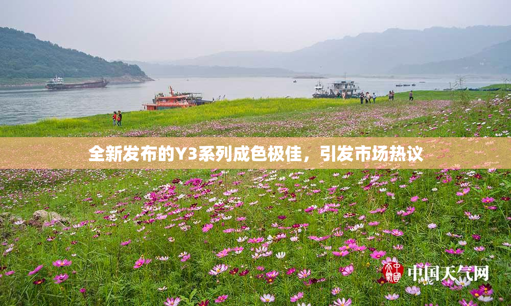 全新发布的Y3系列成色极佳，引发市场热议
