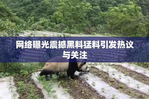 网络曝光震撼黑料猛料引发热议与关注