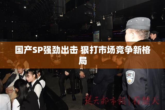 国产SP强劲出击 狠打市场竞争新格局