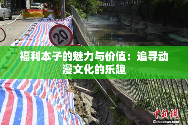 福利本子的魅力与价值：追寻动漫文化的乐趣