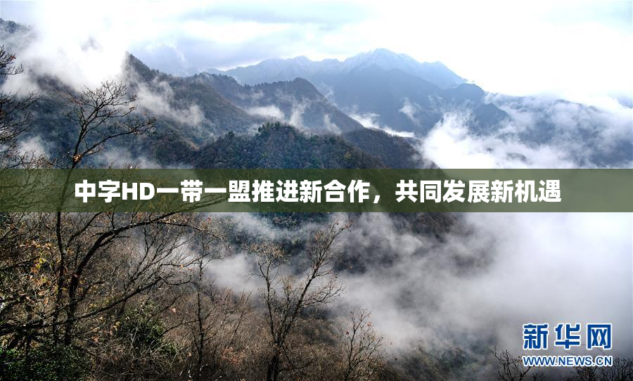 中字HD一带一盟推进新合作，共同发展新机遇