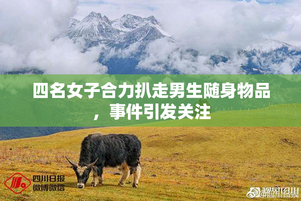 四名女子合力扒走男生随身物品，事件引发关注