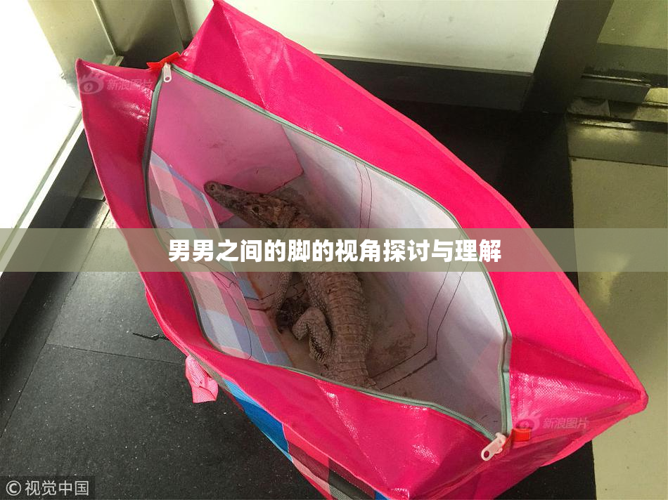 男男之间的脚的视角探讨与理解