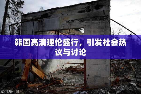 韩国高清理伦盛行，引发社会热议与讨论