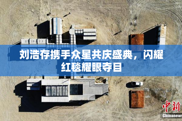 刘浩存携手众星共庆盛典，闪耀红毯耀眼夺目