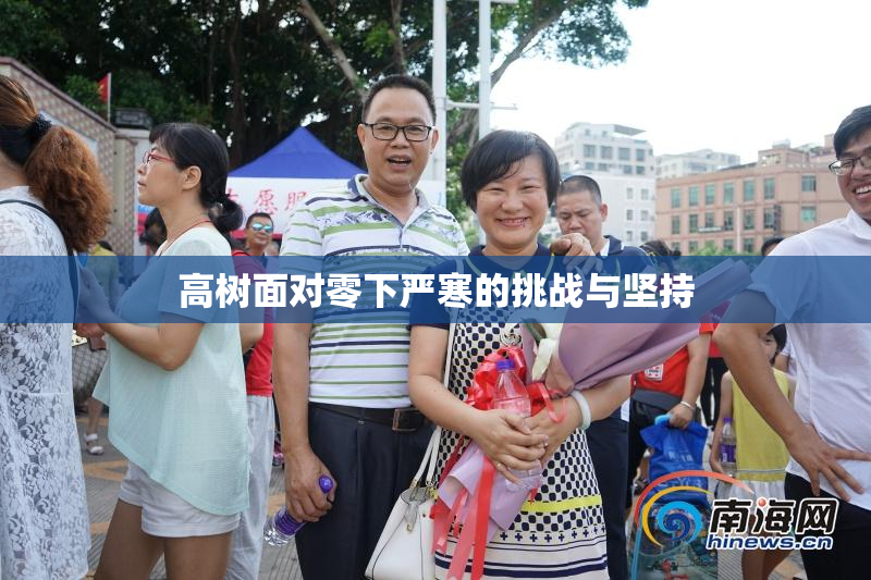 高树面对零下严寒的挑战与坚持