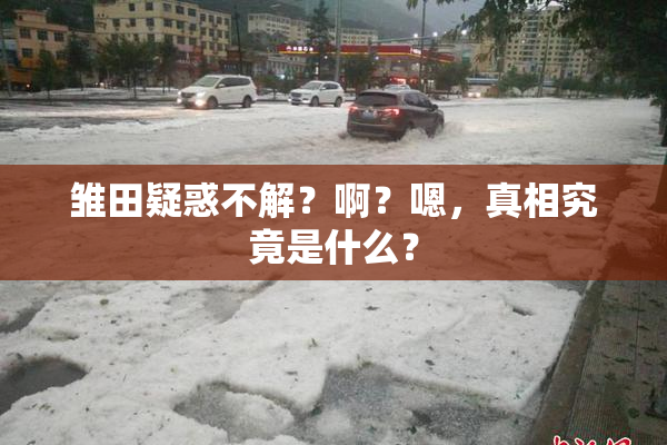 雏田疑惑不解？啊？嗯，真相究竟是什么？
