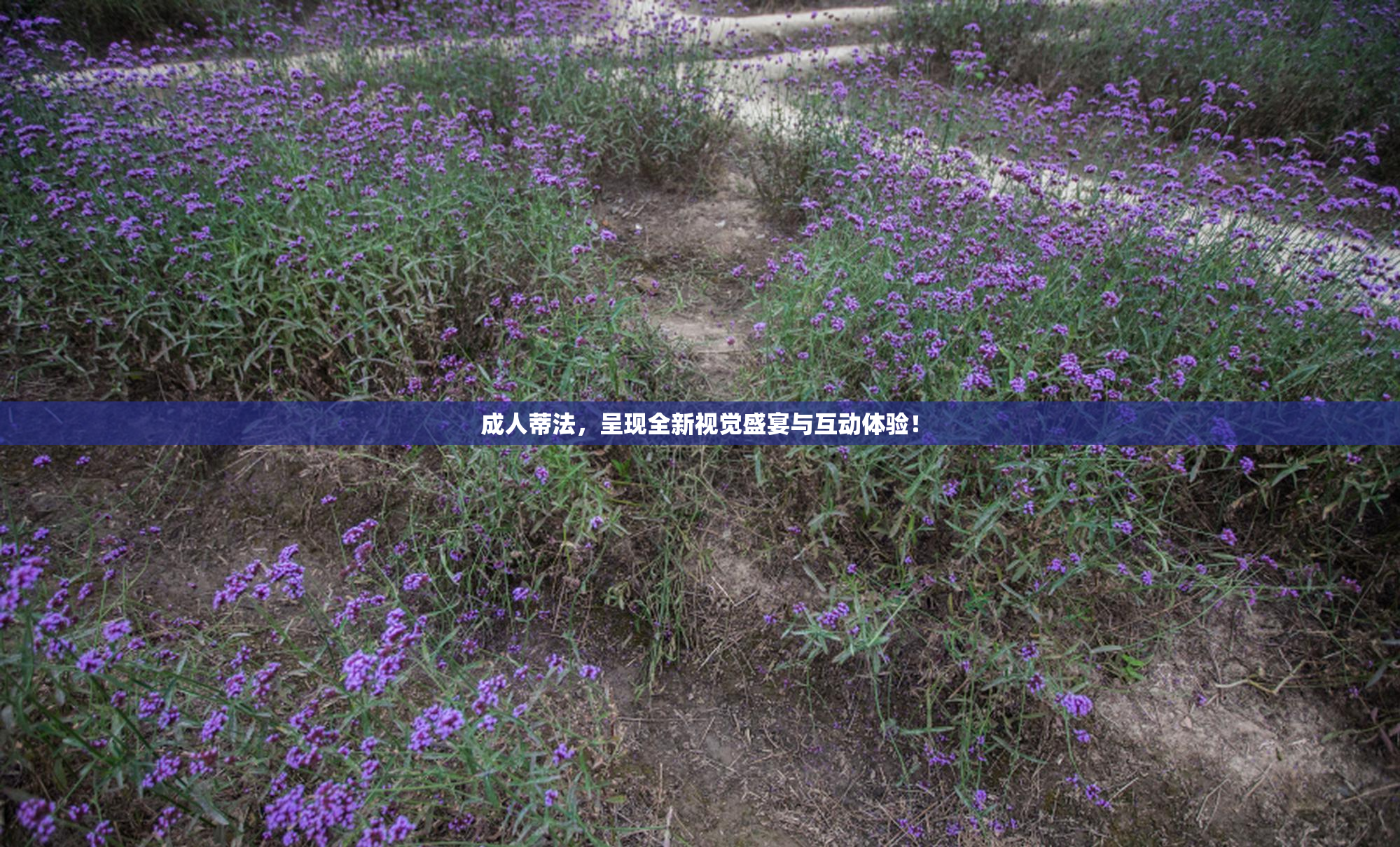 成人蒂法，呈现全新视觉盛宴与互动体验！