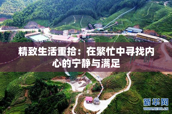 精致生活重拾：在繁忙中寻找内心的宁静与满足
