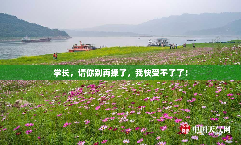学长，请你别再揉了，我快受不了了！