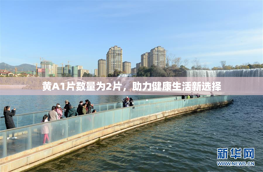 黄A1片数量为2片，助力健康生活新选择