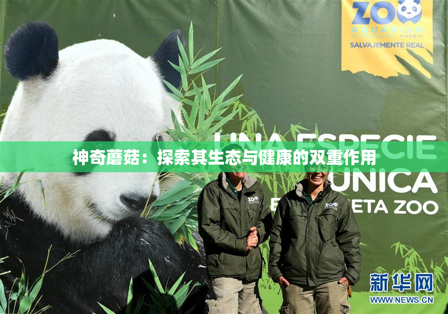 神奇蘑菇：探索其生态与健康的双重作用