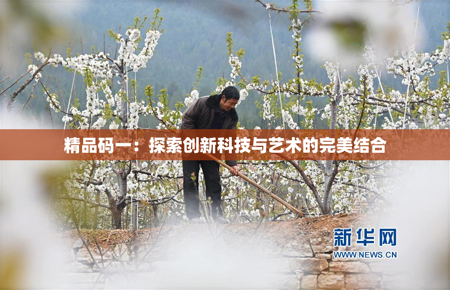 精品码一：探索创新科技与艺术的完美结合
