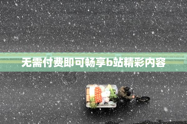 无需付费即可畅享b站精彩内容