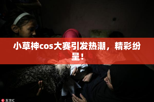 小草神cos大赛引发热潮，精彩纷呈！