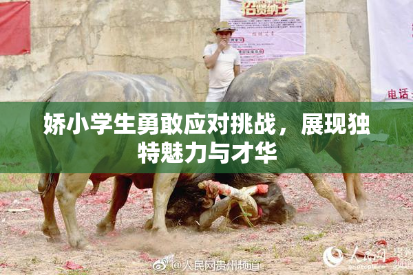 娇小学生勇敢应对挑战，展现独特魅力与才华